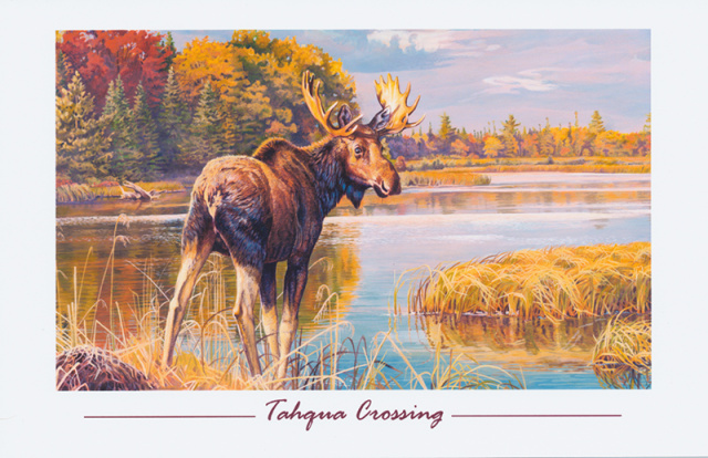 5 Pack of Headwaters Fine Art Cards 5.5" x 8.5" with envelope - Tahqua Crossing